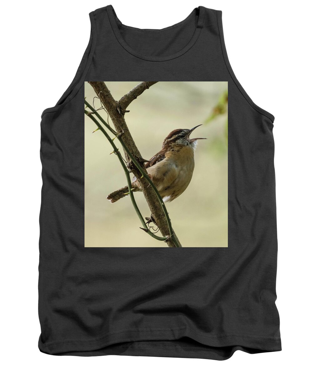 Bird Tank Top featuring the photograph Sing a New Song by Jody Partin