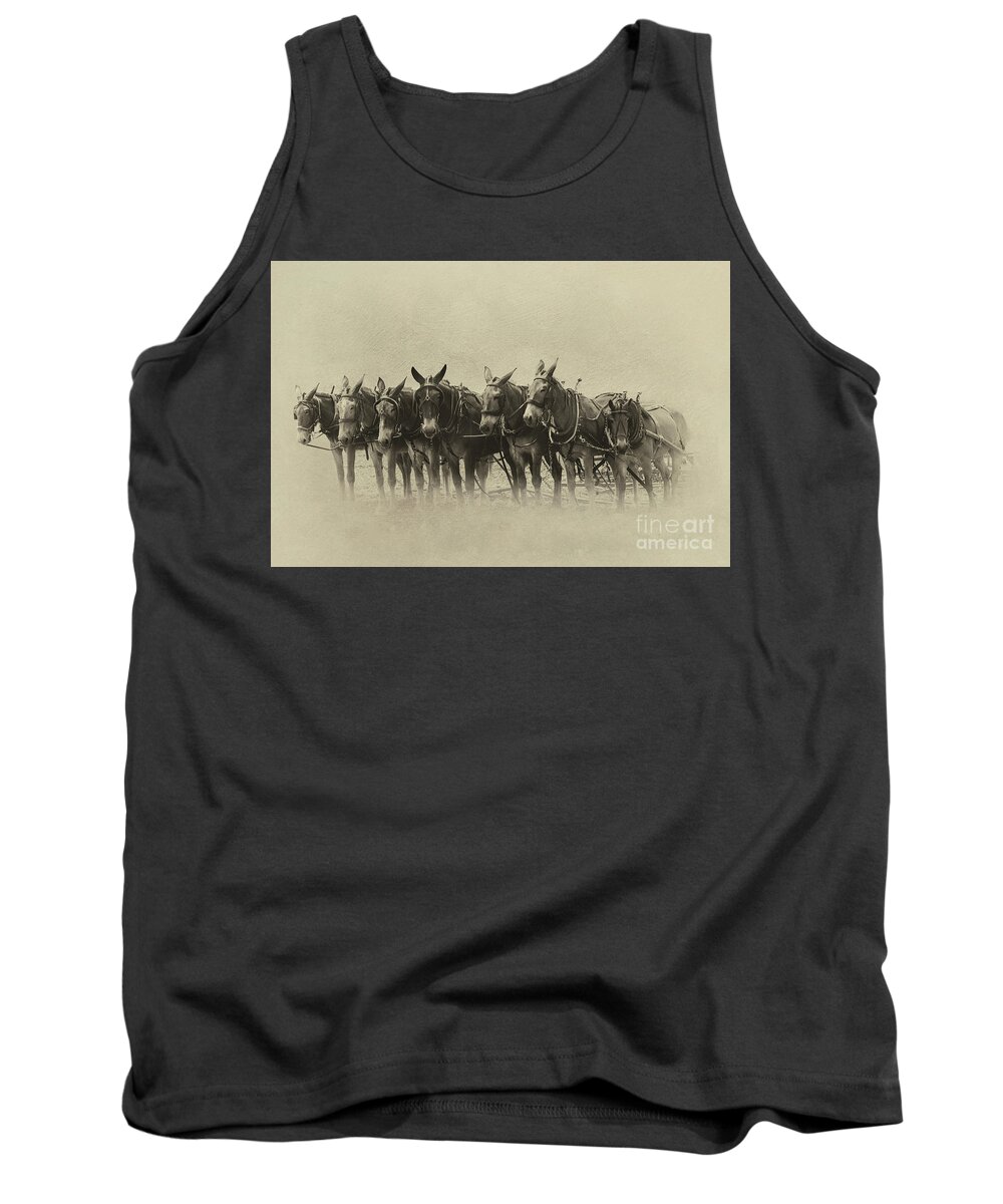 Mules Tank Top featuring the photograph Six Mules, and One More by Nicki McManus