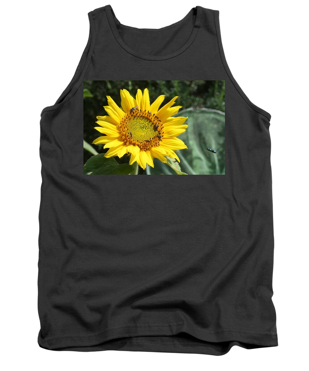 Sunflower Tank Top featuring the photograph Skipping Spring by Ismael Cavazos