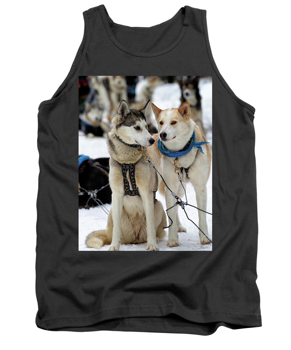 Dog Tank Top featuring the photograph Sled Dogs by David Buhler