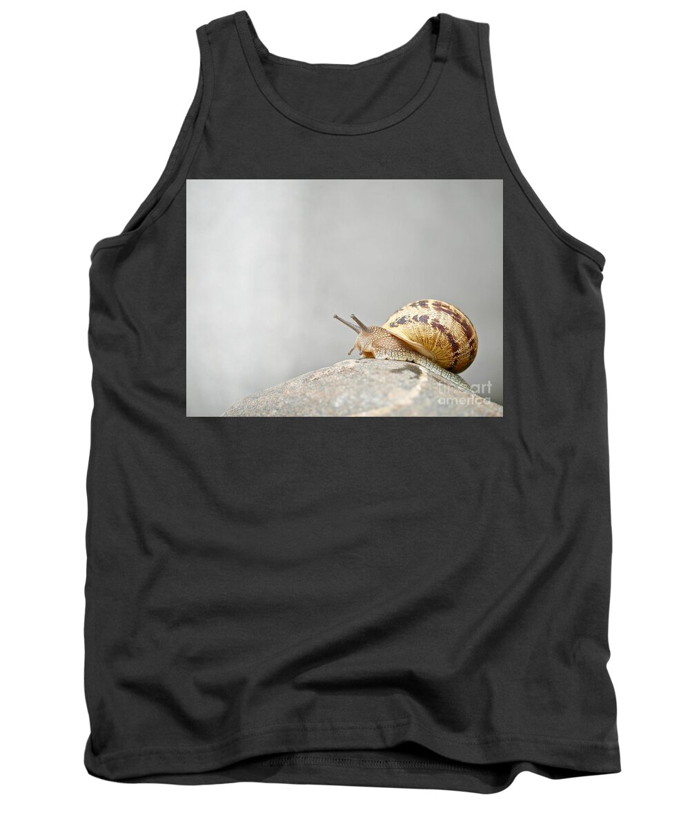 Slug Tank Top featuring the photograph Snail #1 by Elisabeth Derichs