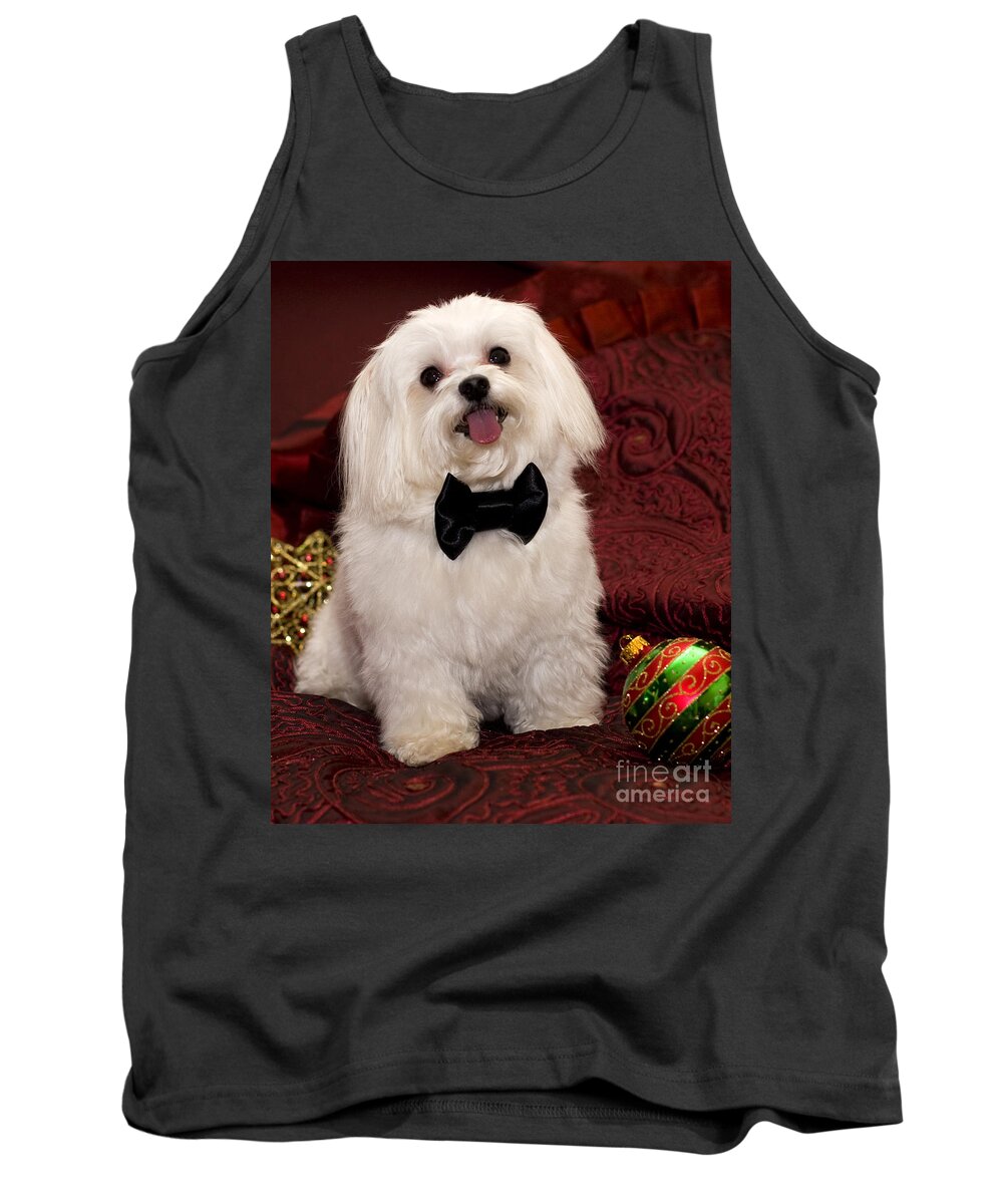 Maltese Tank Top featuring the photograph Smile by Leslie Leda