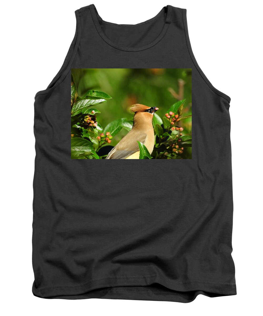 Bird Tank Top featuring the photograph Snacking by Betty-Anne McDonald