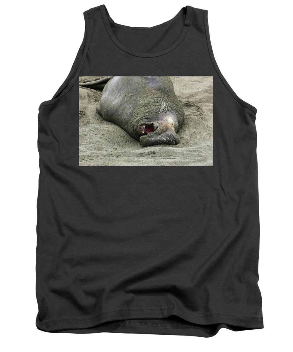 Elephant Tank Top featuring the photograph Snoring Elephant Seal by Anthony Jones