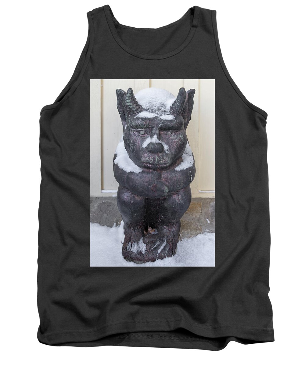 Chimera Tank Top featuring the photograph Snow Covered Chimera by D K Wall