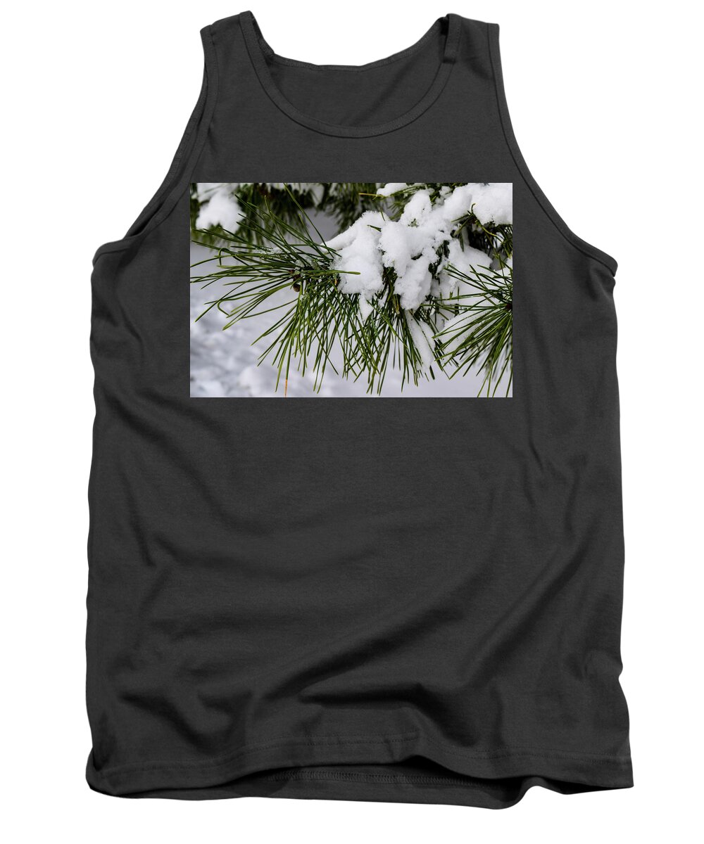 Snow Tank Top featuring the photograph Snowy Branch by Nicole Lloyd