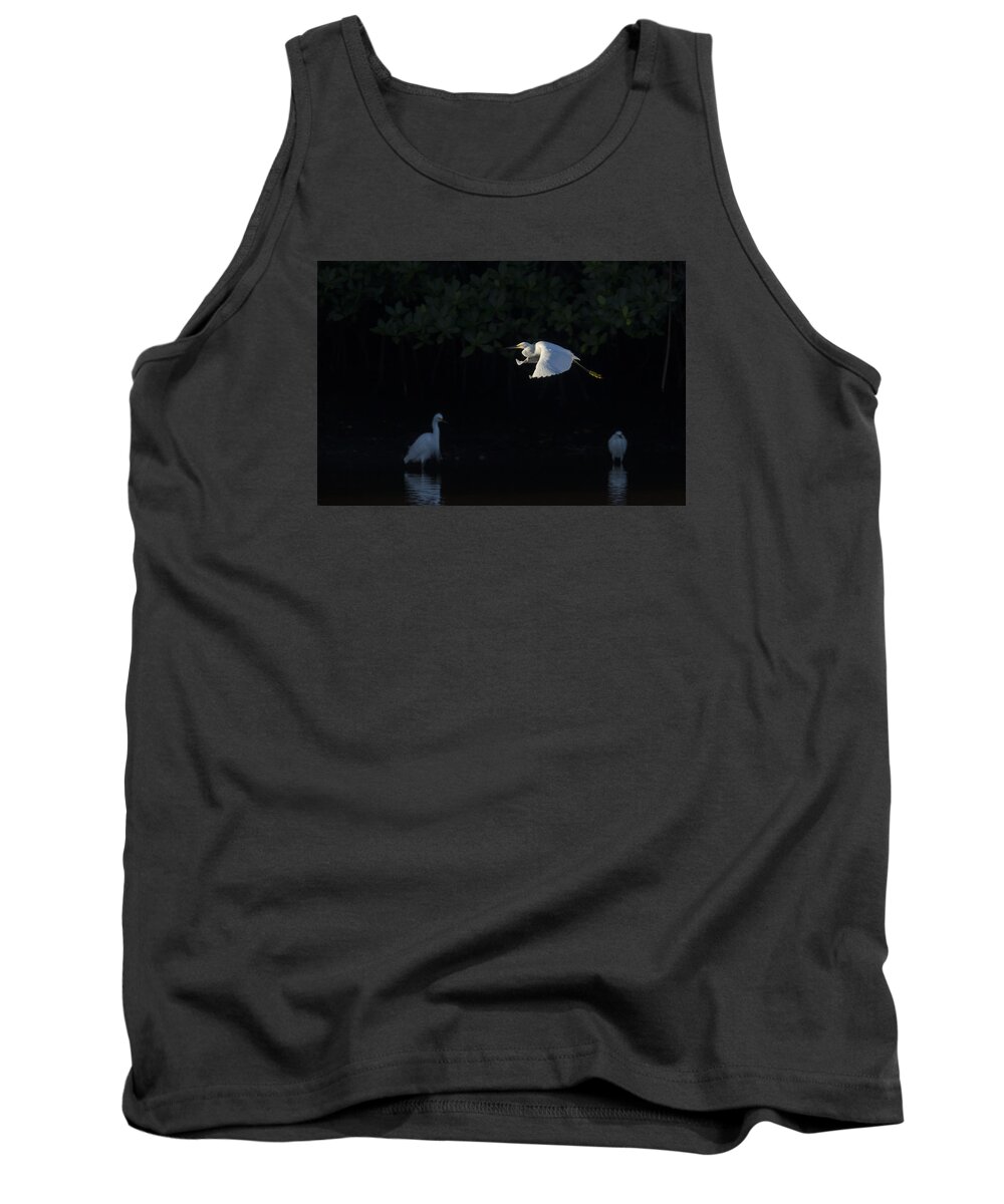 Snowy Tank Top featuring the photograph Snowy Egret gliding in the morning light by David Watkins