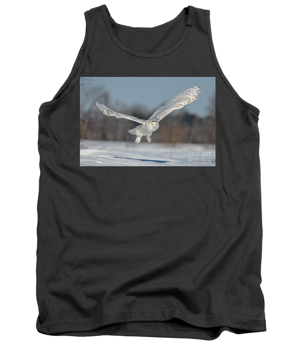 Cheryl Baxter Photography Tank Top featuring the photograph Snowy Owl Taking Off by Cheryl Baxter