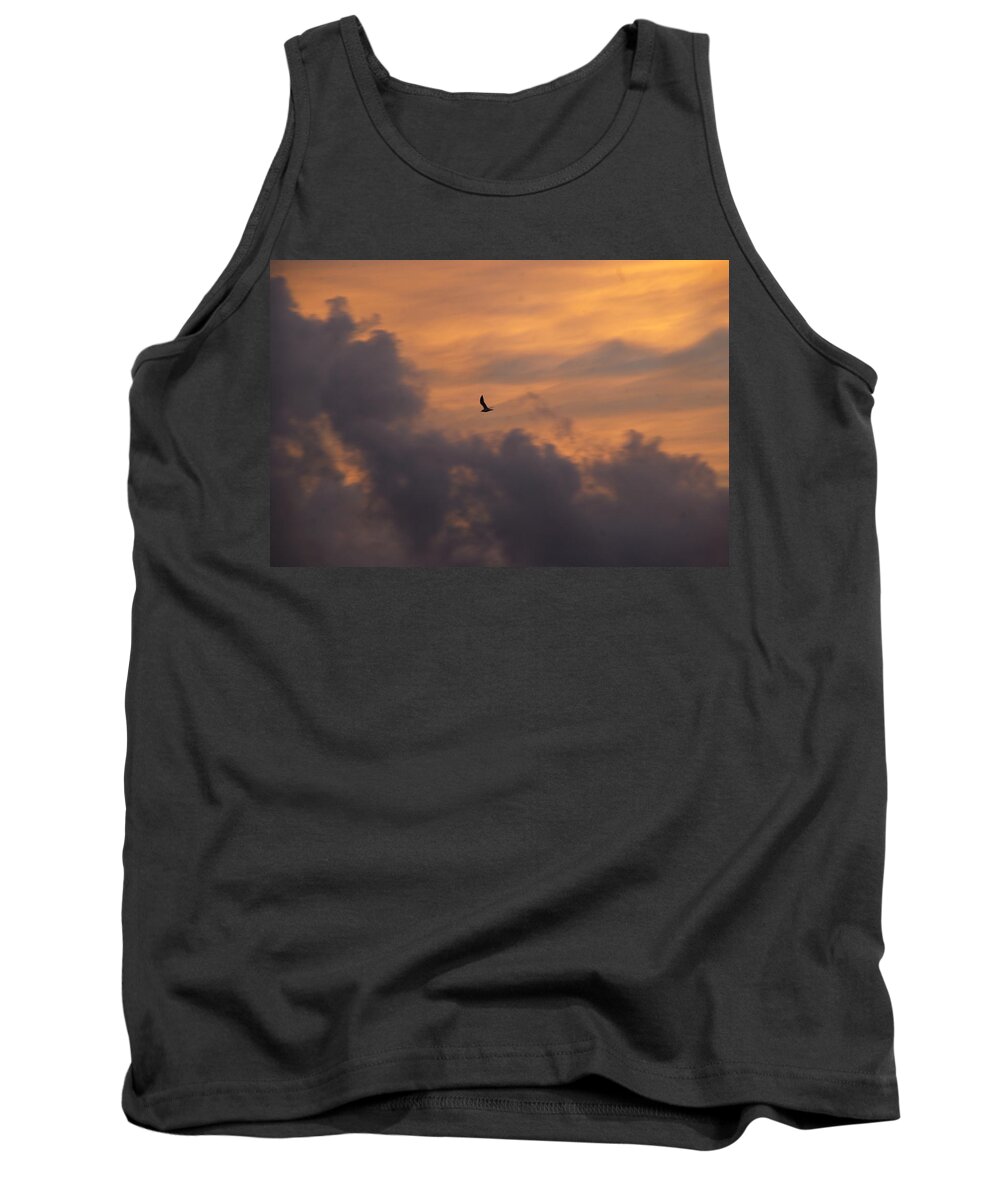 Bird Tank Top featuring the photograph Soaring into the Sunset by Richard Bryce and Family