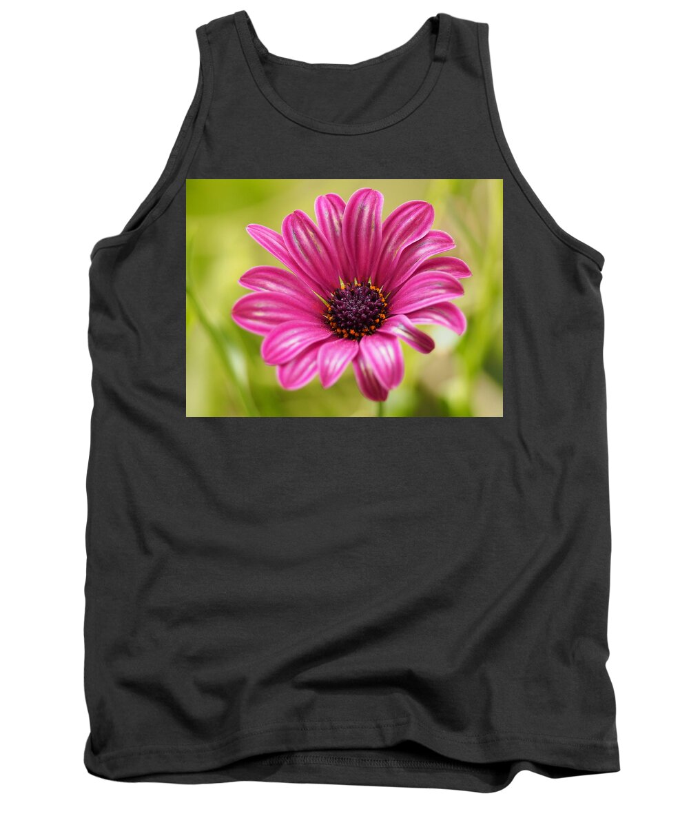 Flowers Tank Top featuring the photograph Soprano On a Brilliant Spring Day 4 by Dorothy Lee