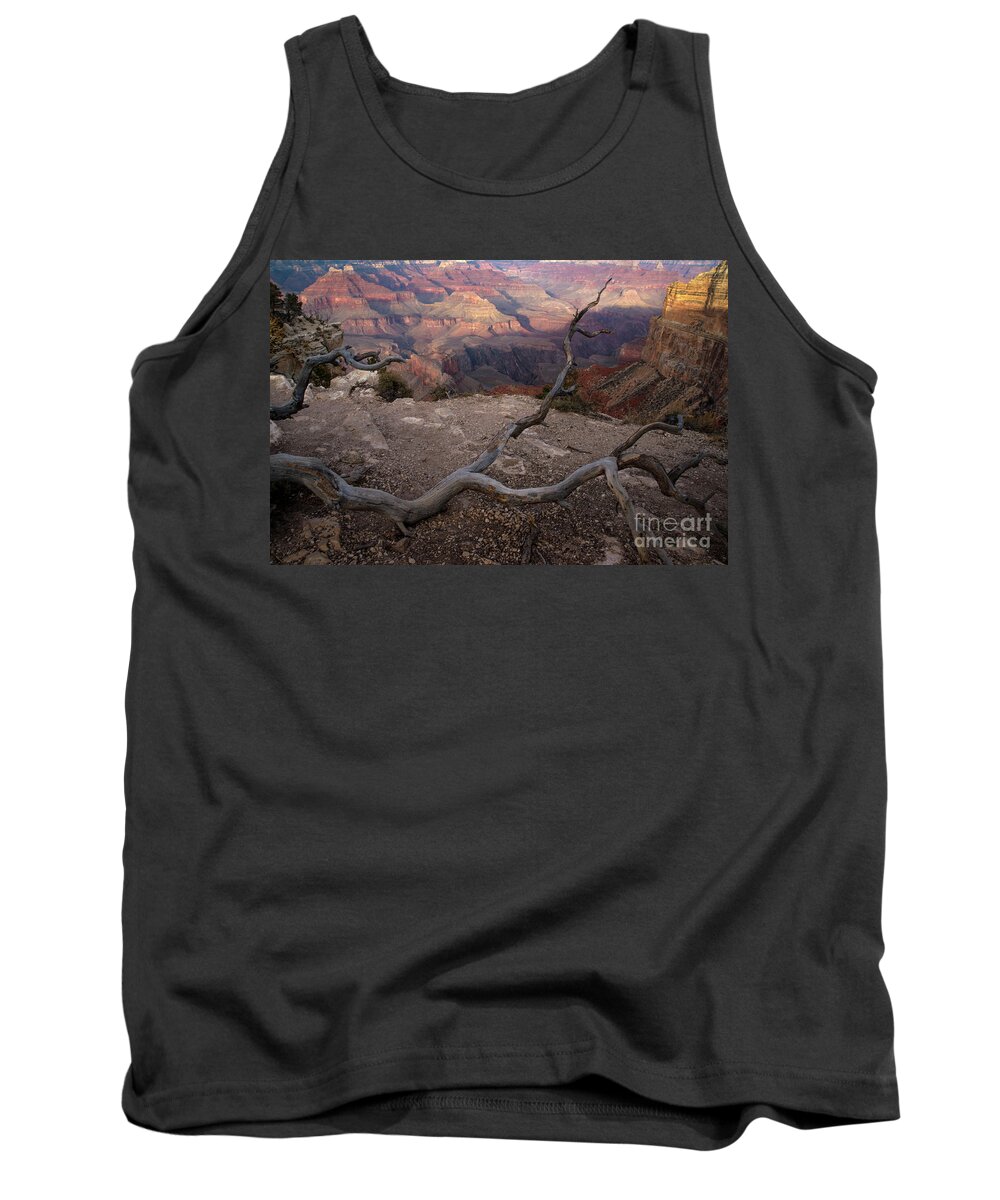 Grand Canyon Tank Top featuring the photograph South RIm Golden Hour by Jane Axman