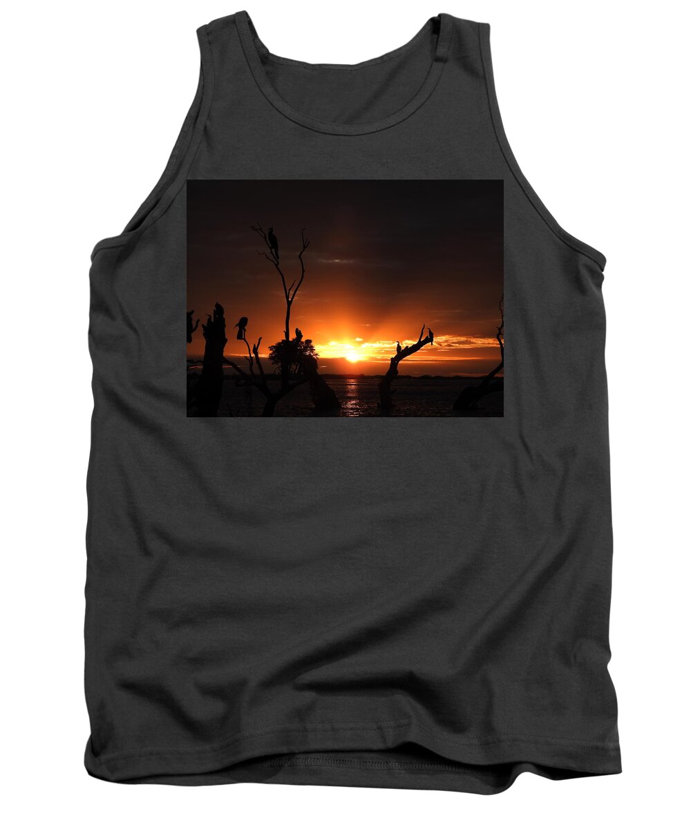 African Sunset Tank Top featuring the photograph Spectacular Sunset by Betty-Anne McDonald