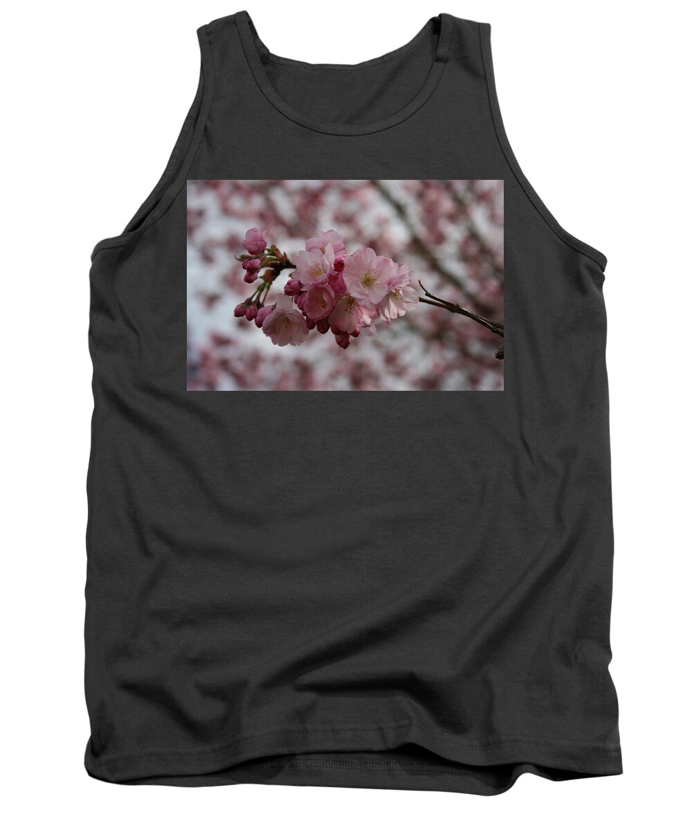 Flower Blte Spring Frhling Pink Rosa Tank Top featuring the photograph Spring Blossom by Anna Bayer