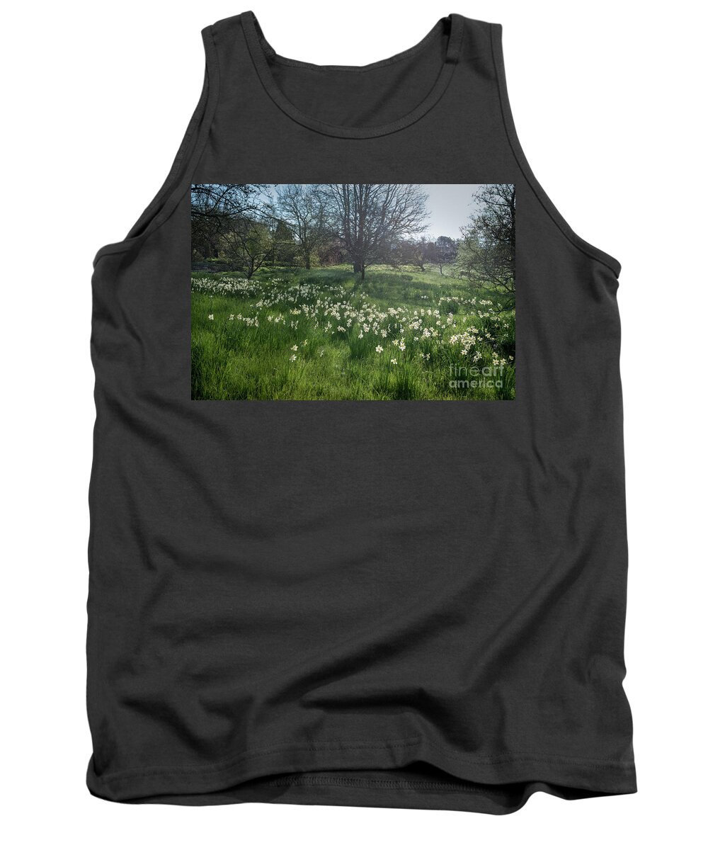 Spring Tank Top featuring the photograph Spring Daffodils in the Orchard  by Perry Rodriguez
