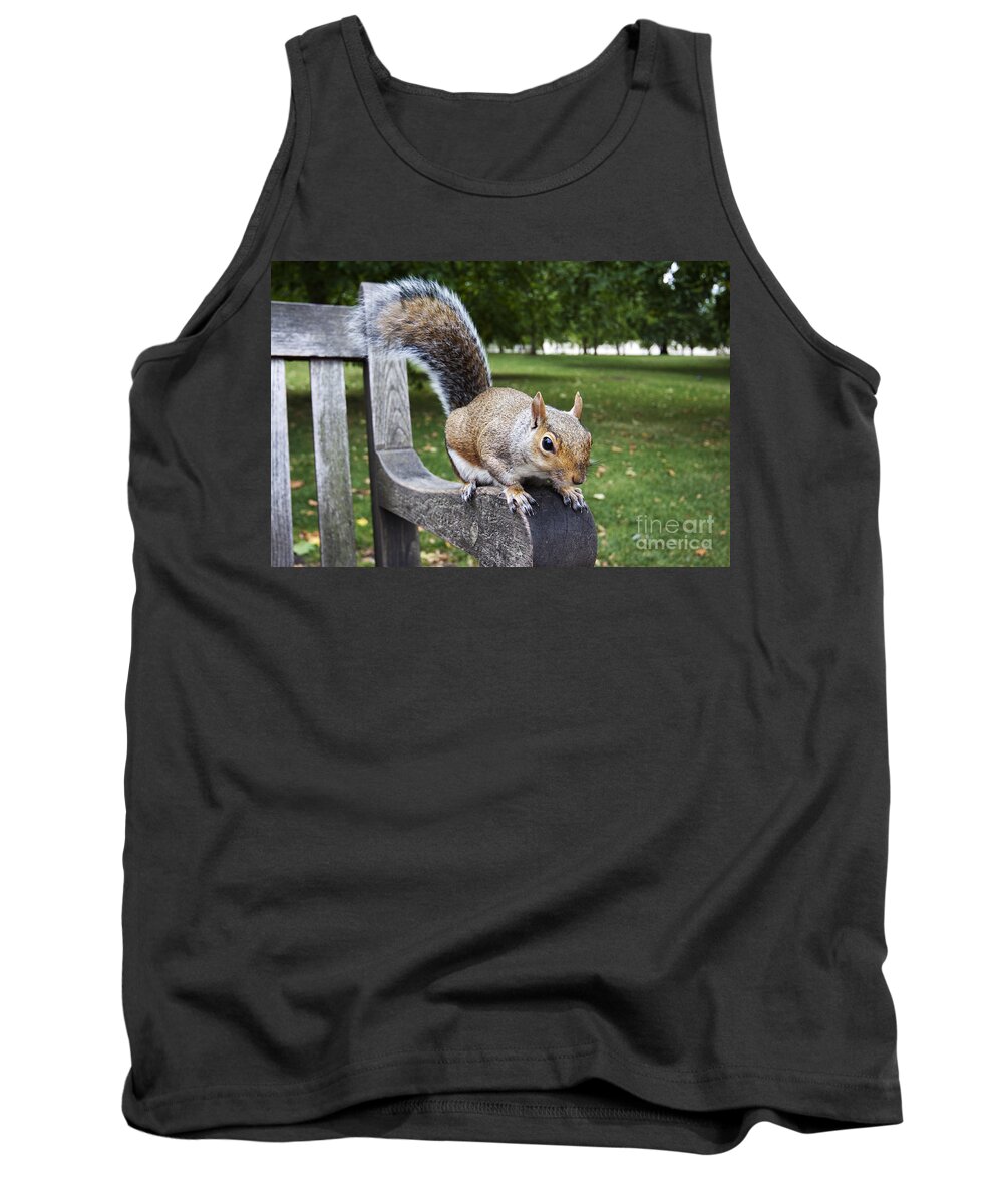 Bank Tank Top featuring the photograph Squirrel Bench by Agusti Pardo Rossello