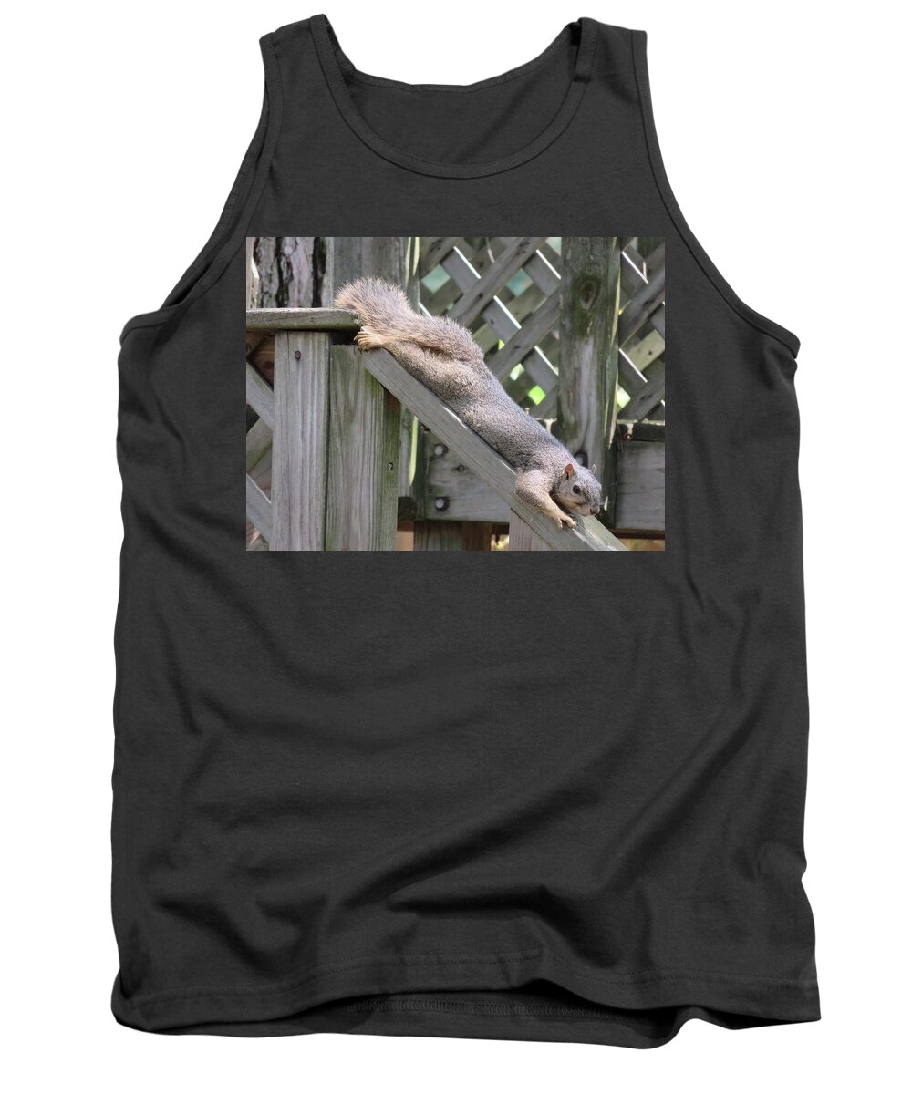 Squirrel Tank Top featuring the photograph Squirrel relaxing by Judith Lauter
