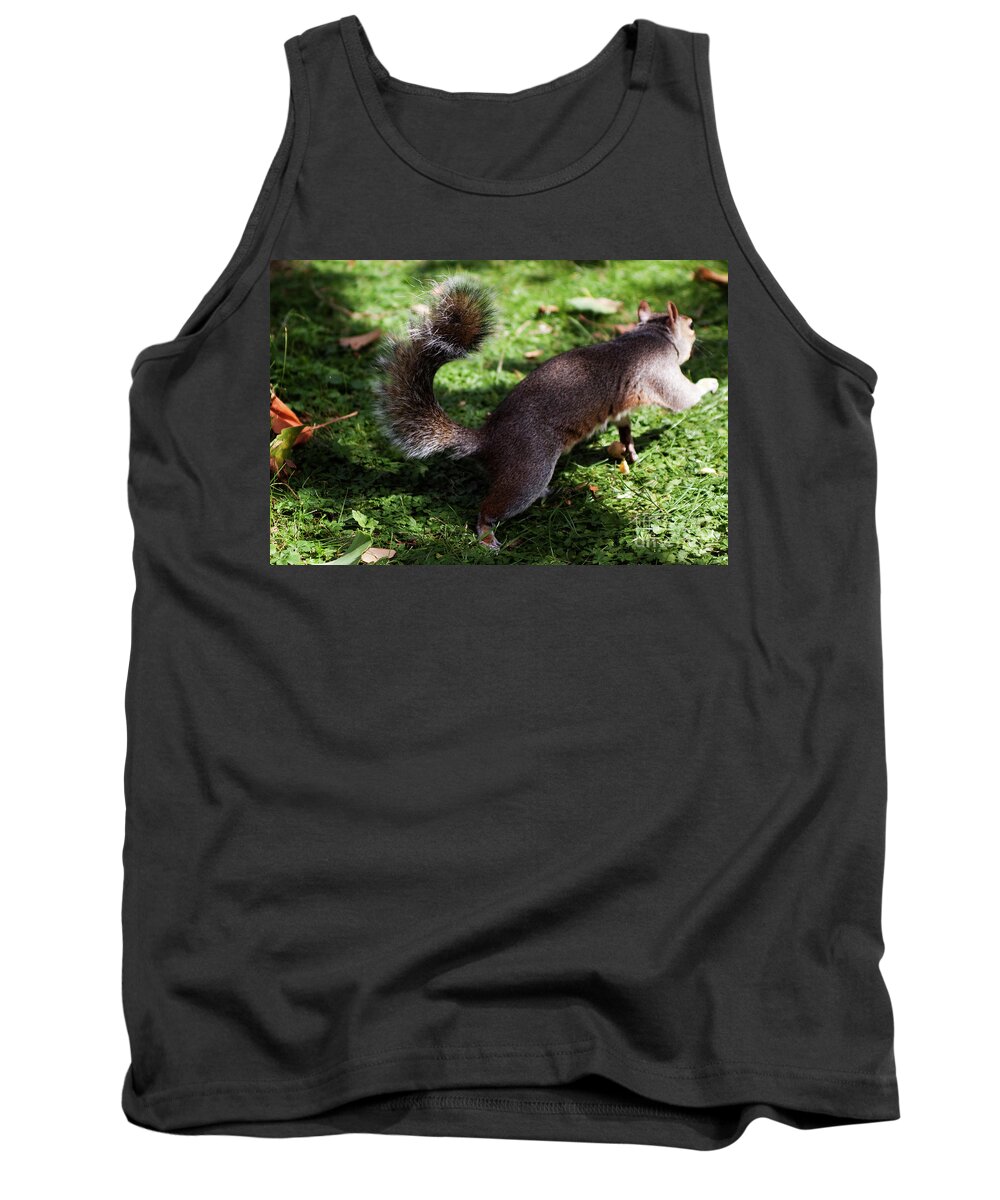 Squirrel Tank Top featuring the photograph Squirrel running by Agusti Pardo Rossello