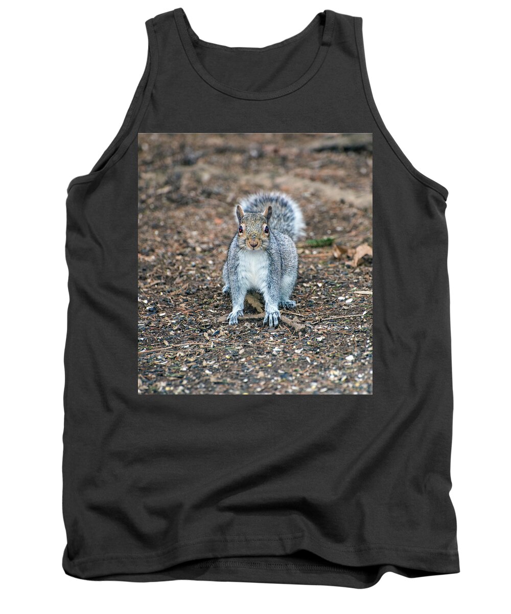 Animals Tank Top featuring the photograph Squriel Full Face by Paul Ross