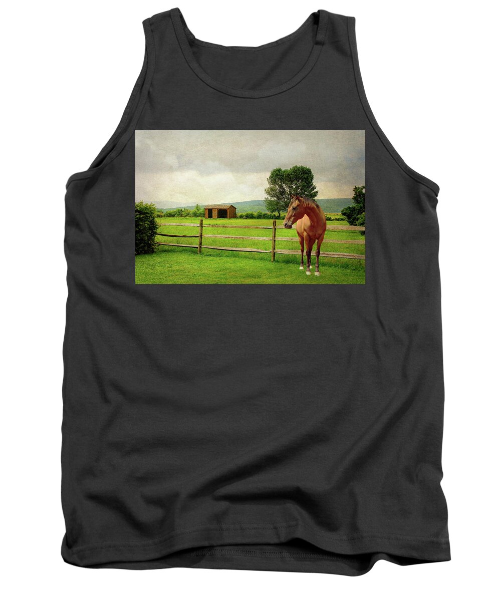 Landscape Tank Top featuring the photograph Stallion at Fence by Diana Angstadt