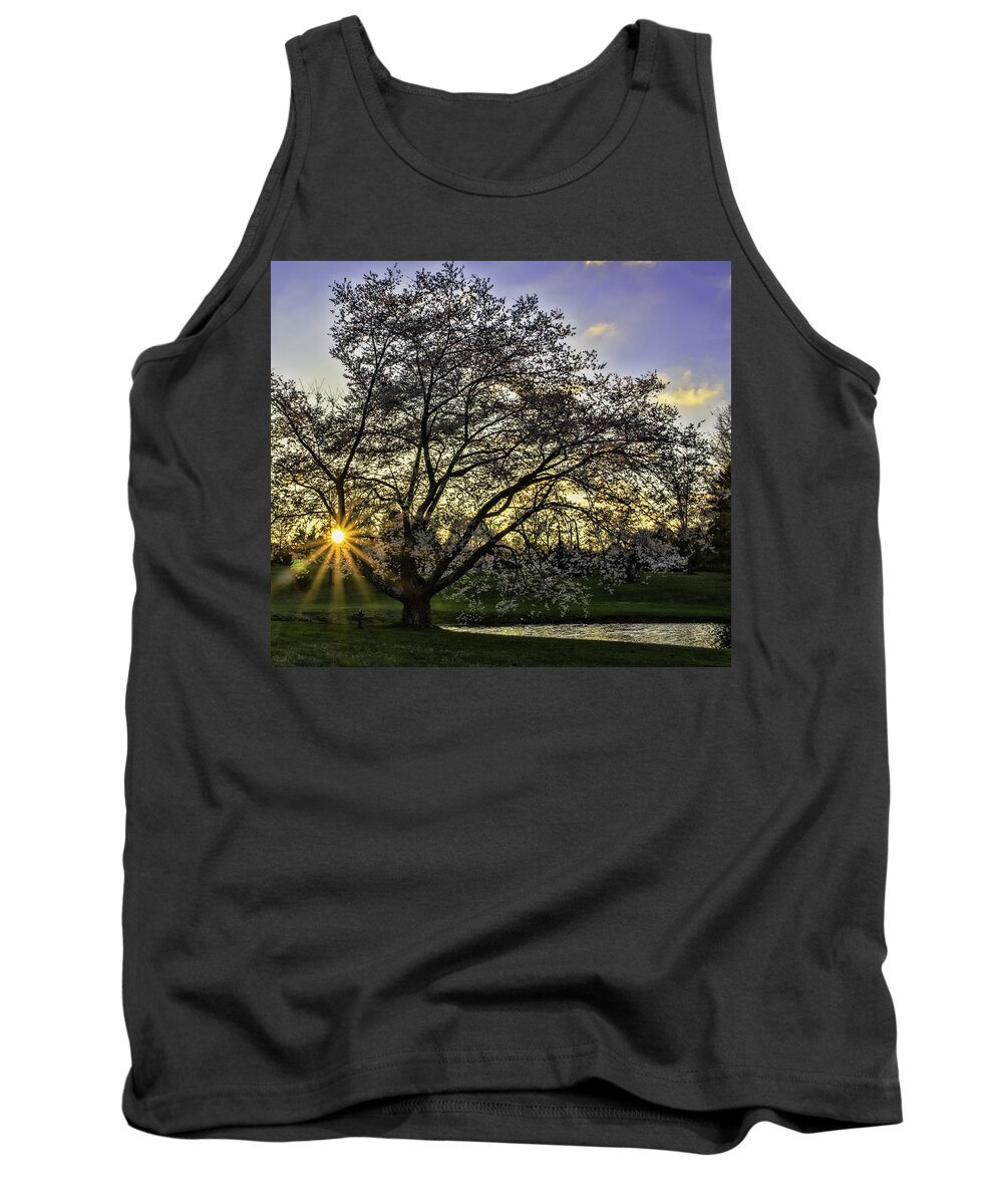 Landscape Tank Top featuring the photograph Starburst at Sunrise by Roberta Kayne