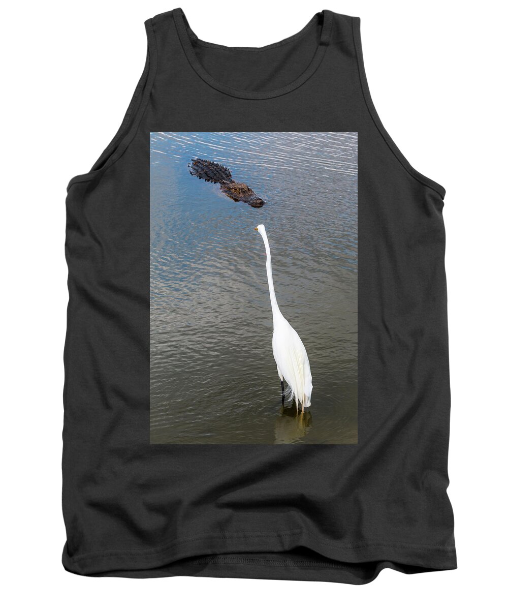 Alligator Tank Top featuring the photograph Staredown at Hunting Beach State Park - March 31, 2017 by D K Wall