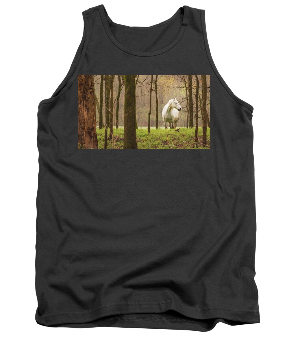 Missouri Wild Horses Tank Top featuring the photograph Stepping into the Wild by Holly Ross