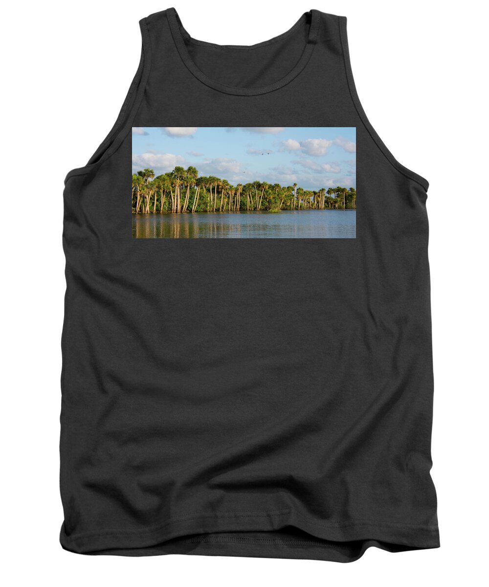 St Johns River Tank Top featuring the photograph Stick Marsh by John Black