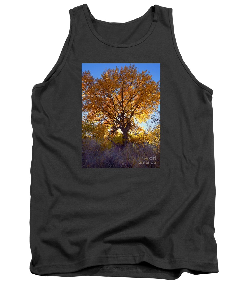 Golden White Light Shining Through The Leaves Tank Top featuring the digital art Sun through golden leaves by Annie Gibbons