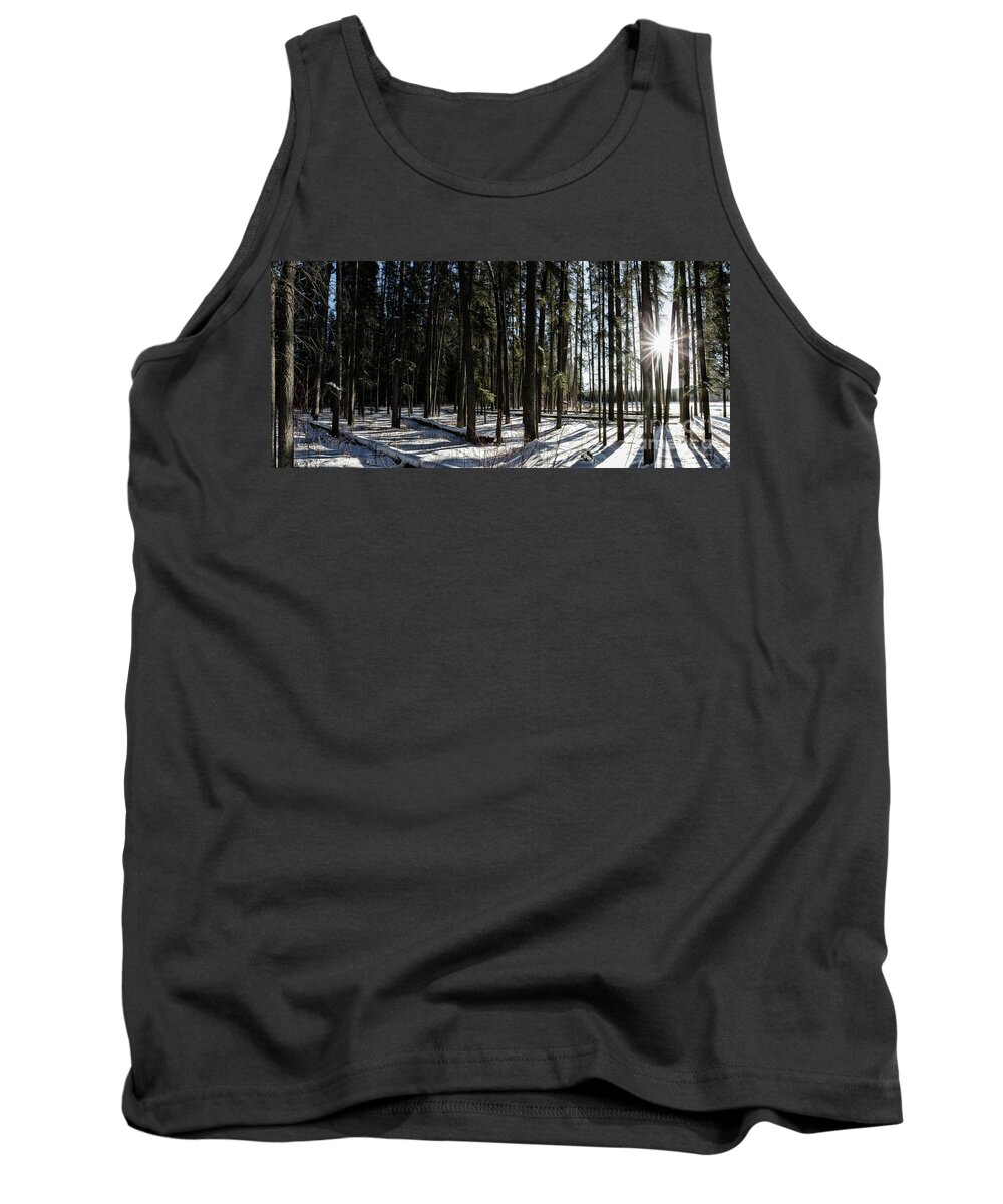 Architecture Tank Top featuring the photograph Sundial Forest by Brad Allen Fine Art