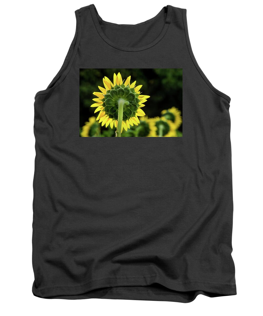 Sunflower Tank Top featuring the photograph Sunflower Back by Don Johnson