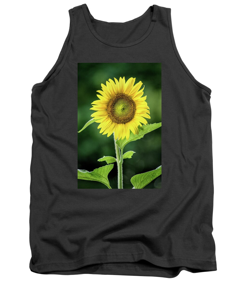 Flower Tank Top featuring the photograph Sunflower in Bloom by Don Johnson