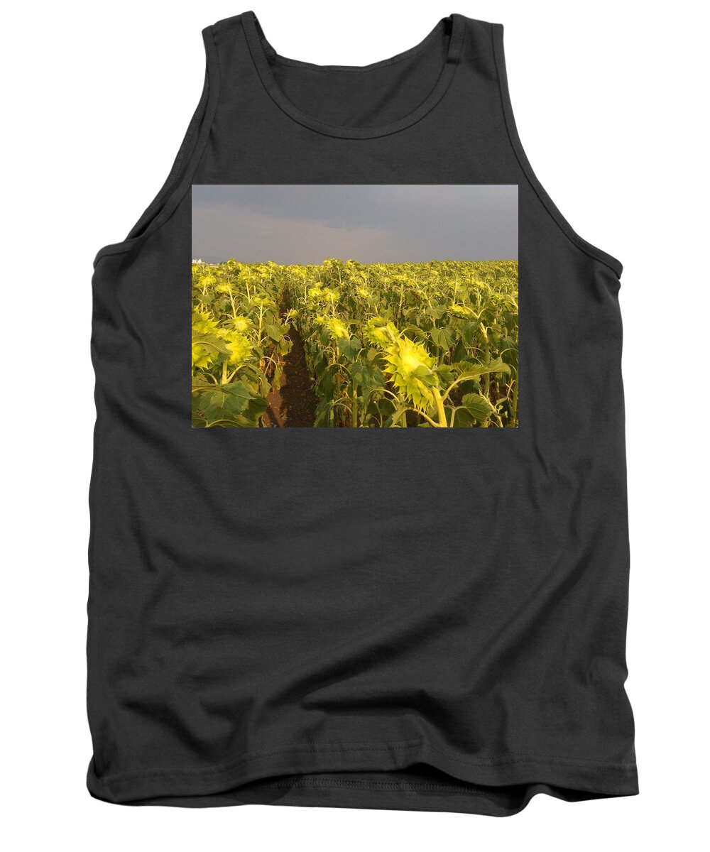Sunflower Tank Top featuring the photograph Sunflowers before the storm by Rumiana Nikolova