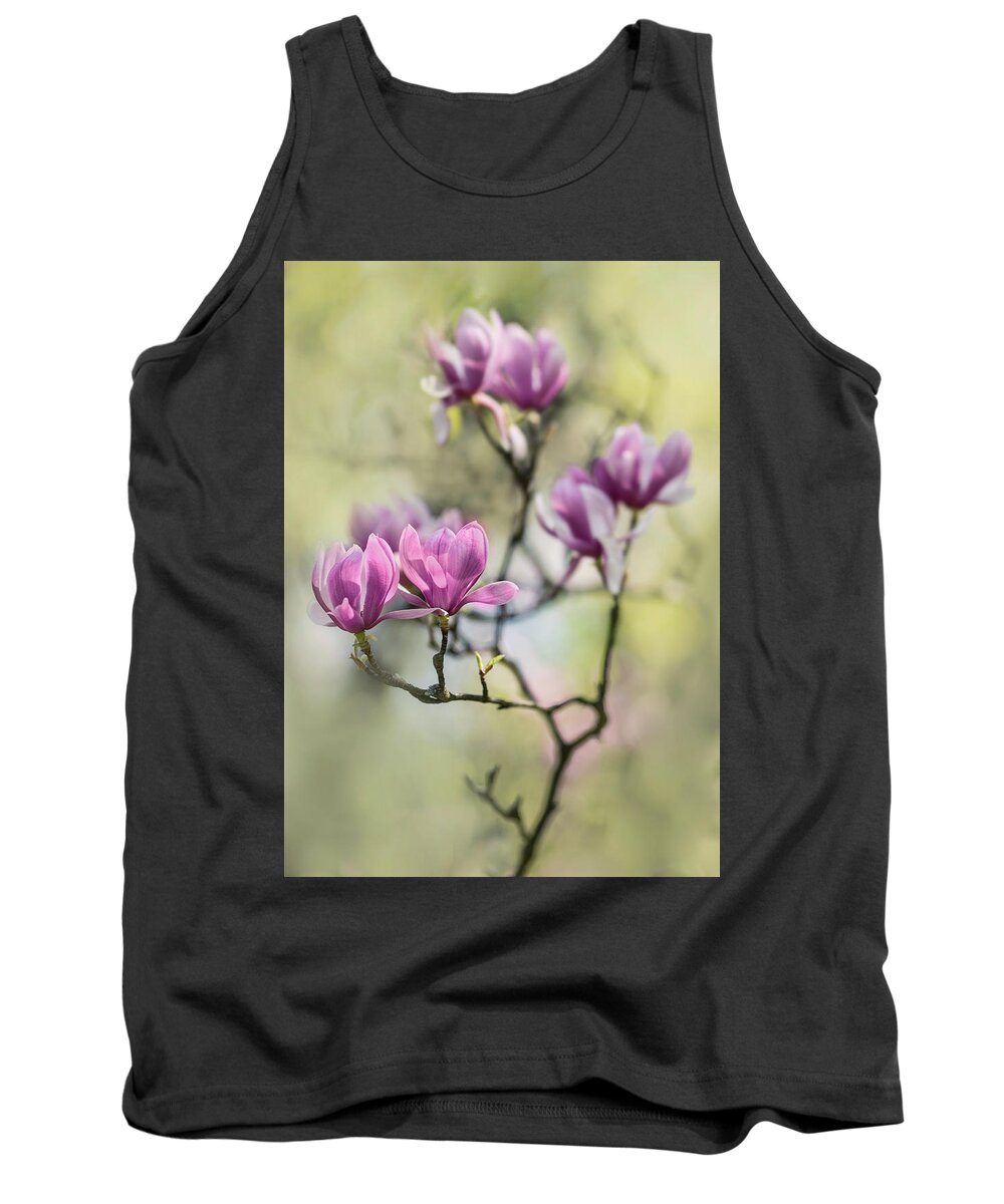 Magnolia Tank Top featuring the photograph Sunny impression with pink magnolias by Jaroslaw Blaminsky