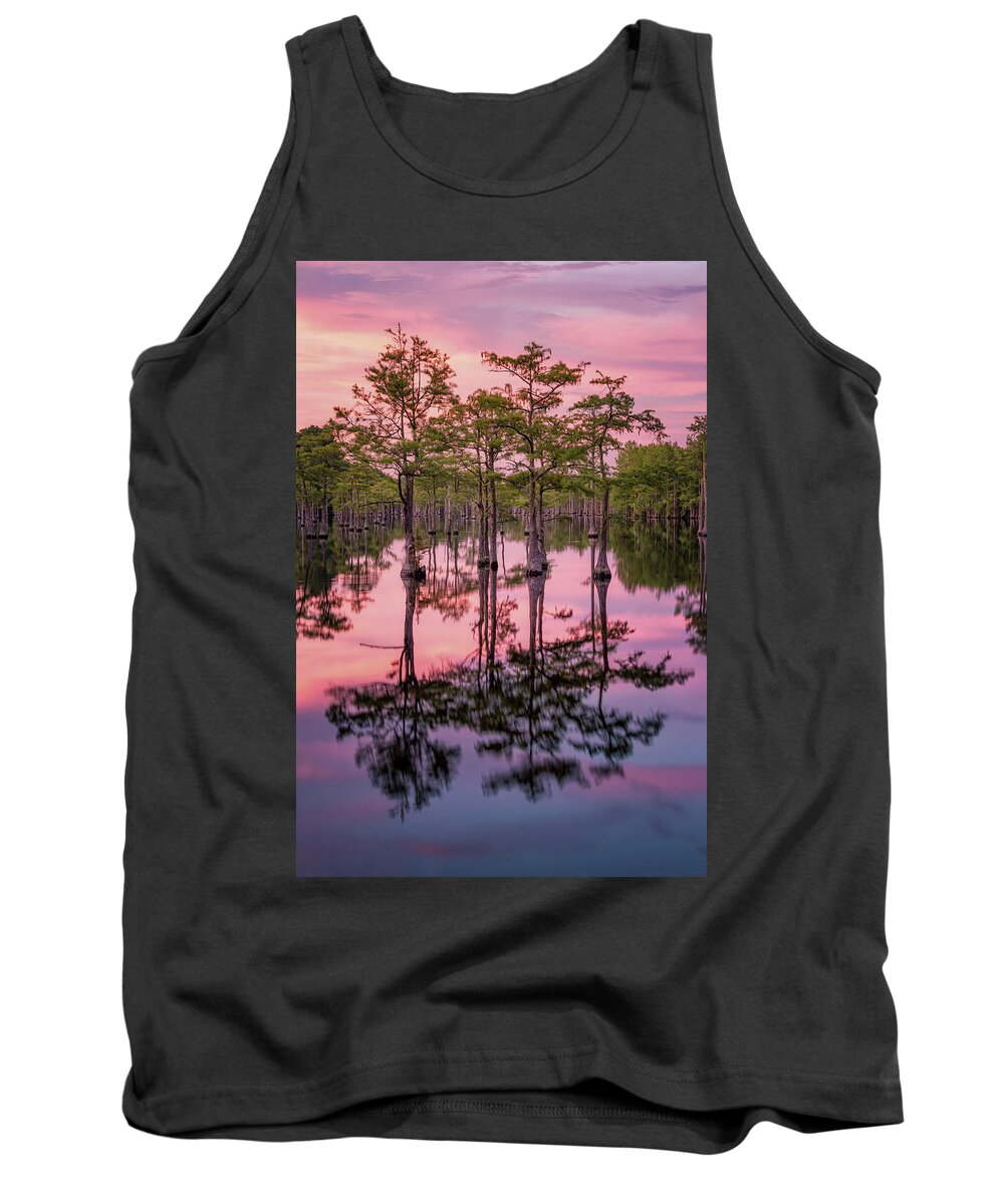 Abstract Tank Top featuring the photograph Sunset at the Swamp by Alex Mironyuk