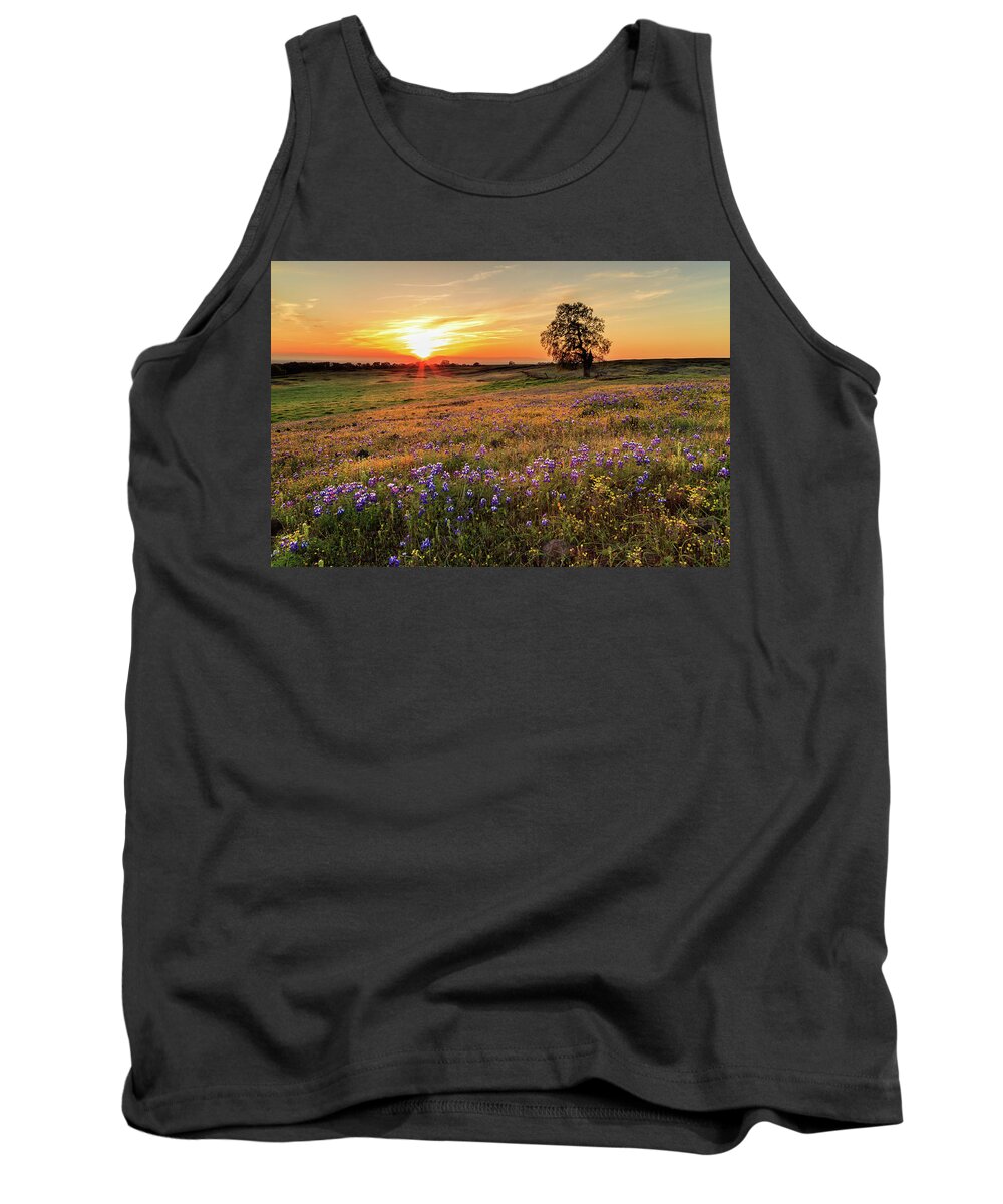 Sunset Tank Top featuring the photograph Sunset On North Table Mountain by James Eddy