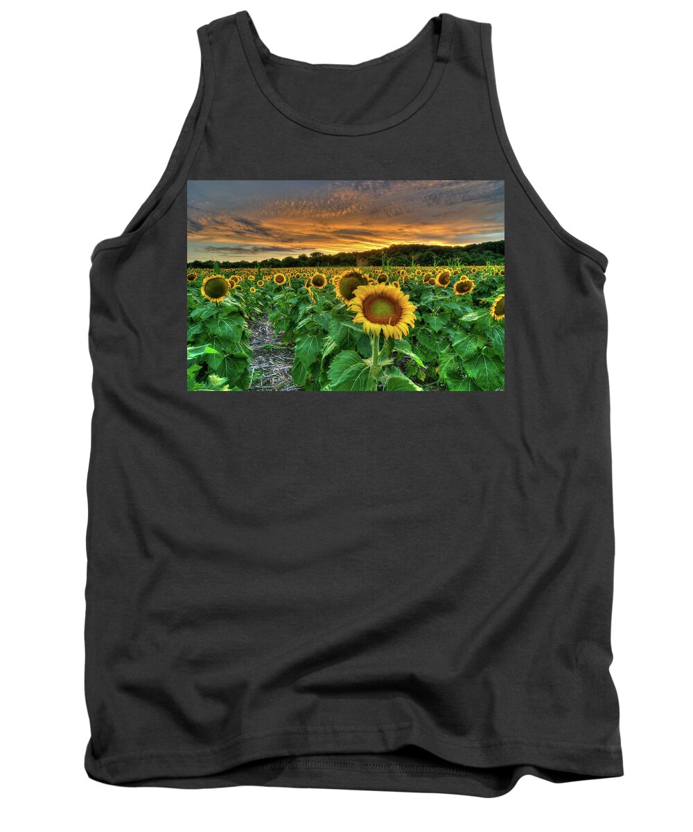 Sunset Tank Top featuring the photograph Sunset Sunflowers by Steve Stuller