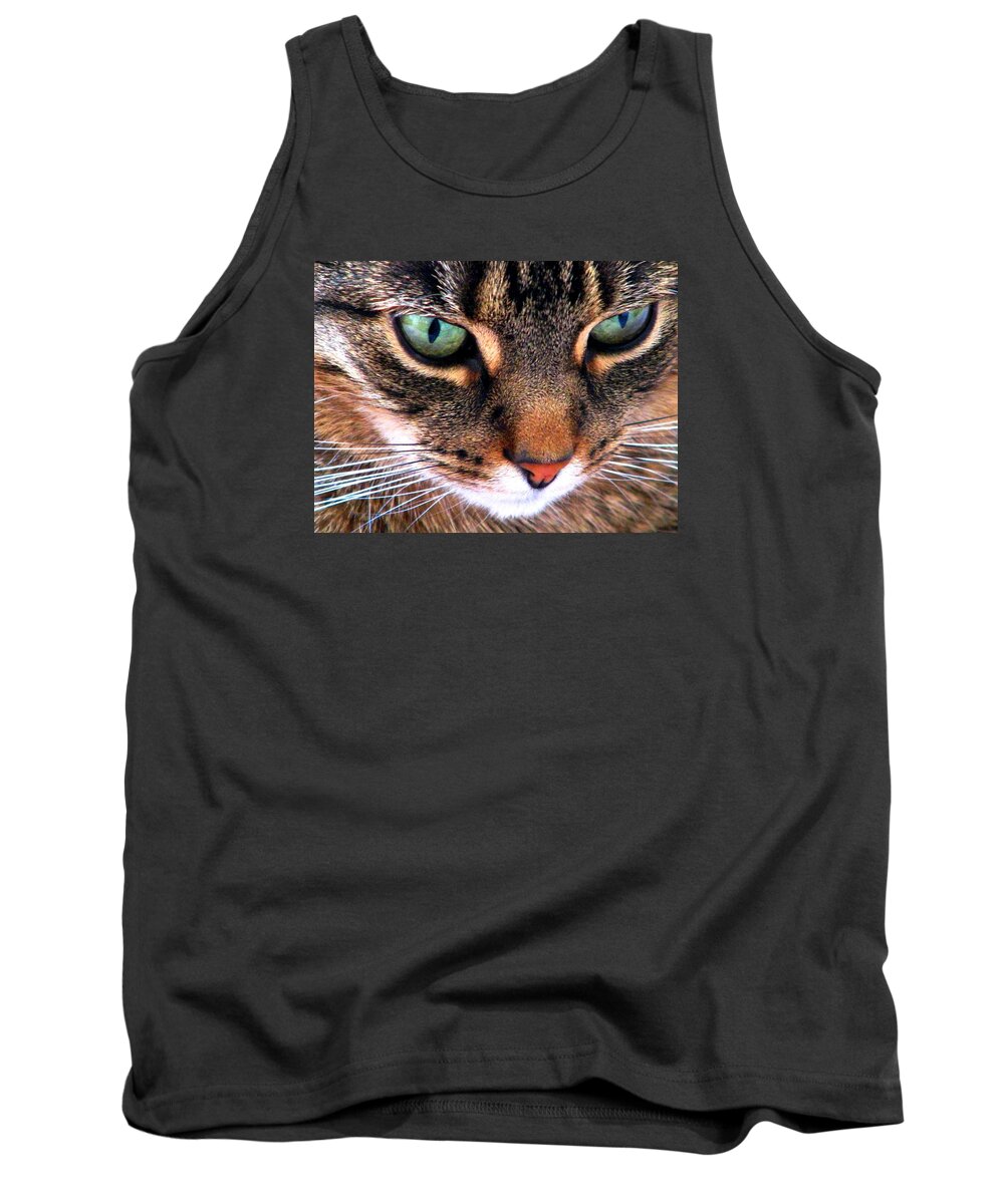 Cats Tank Top featuring the photograph Surmising by Angela Davies