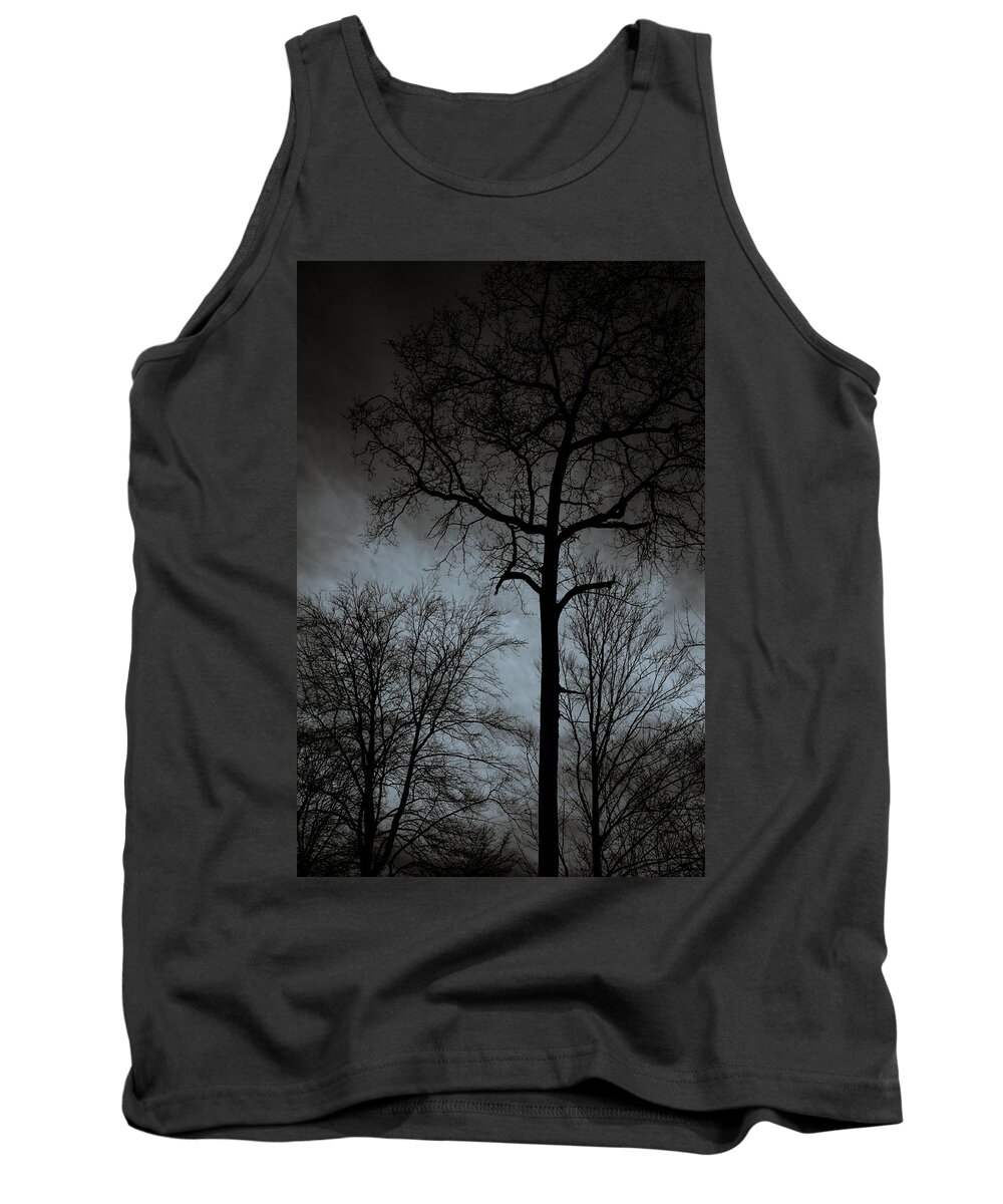 Winterpacht Tank Top featuring the photograph Surrounded by Miguel Winterpacht