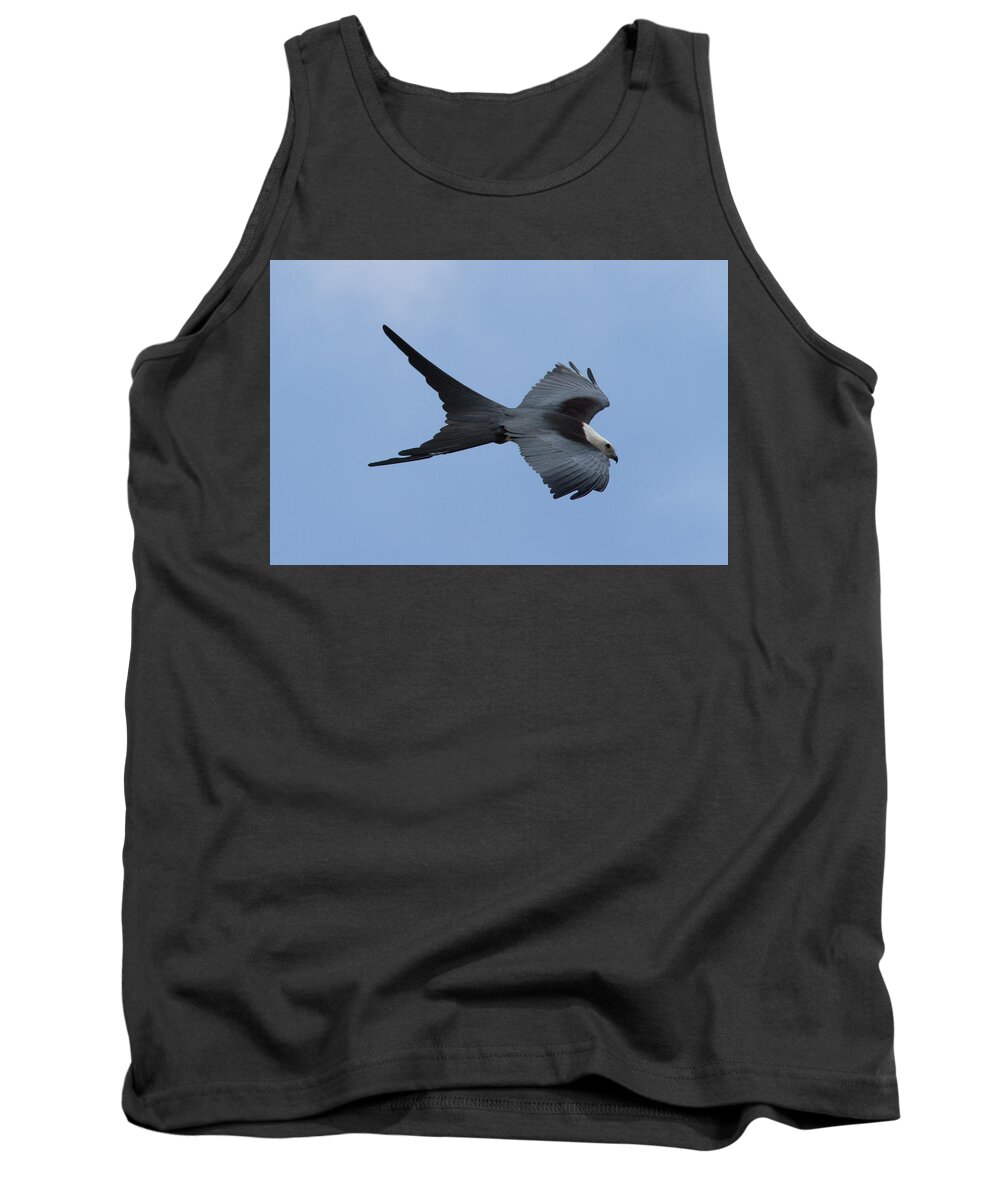 Swallow-tailed Kite Tank Top featuring the photograph Swallow-tailed Kite #1 by Paul Rebmann