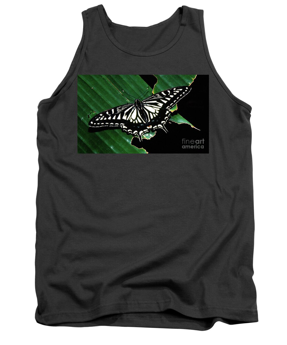 Animal Tank Top featuring the photograph Swallowtail Butterfly- close by Rick Bures