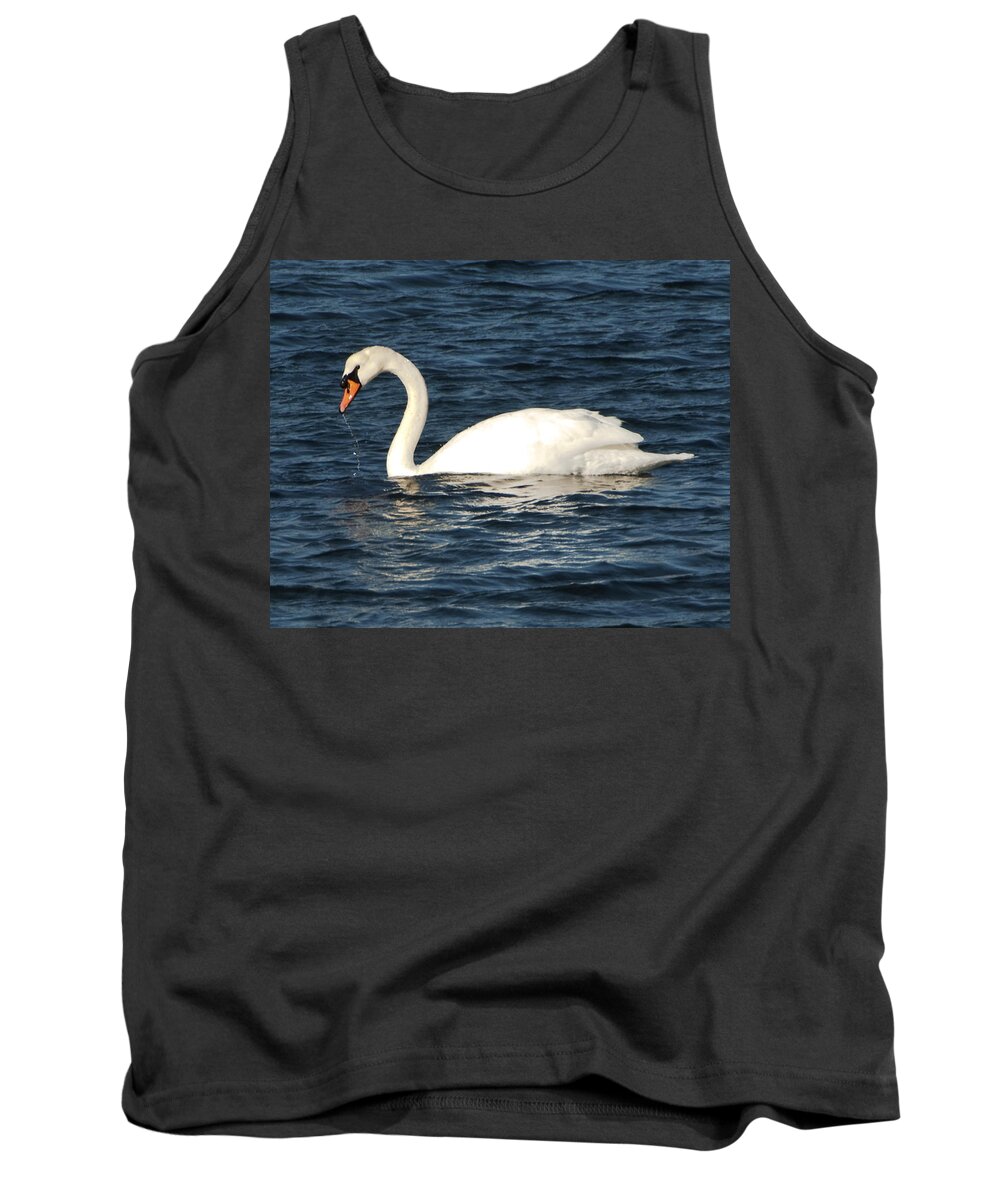 Swan Tank Top featuring the photograph Swan Drinking by Steven Natanson