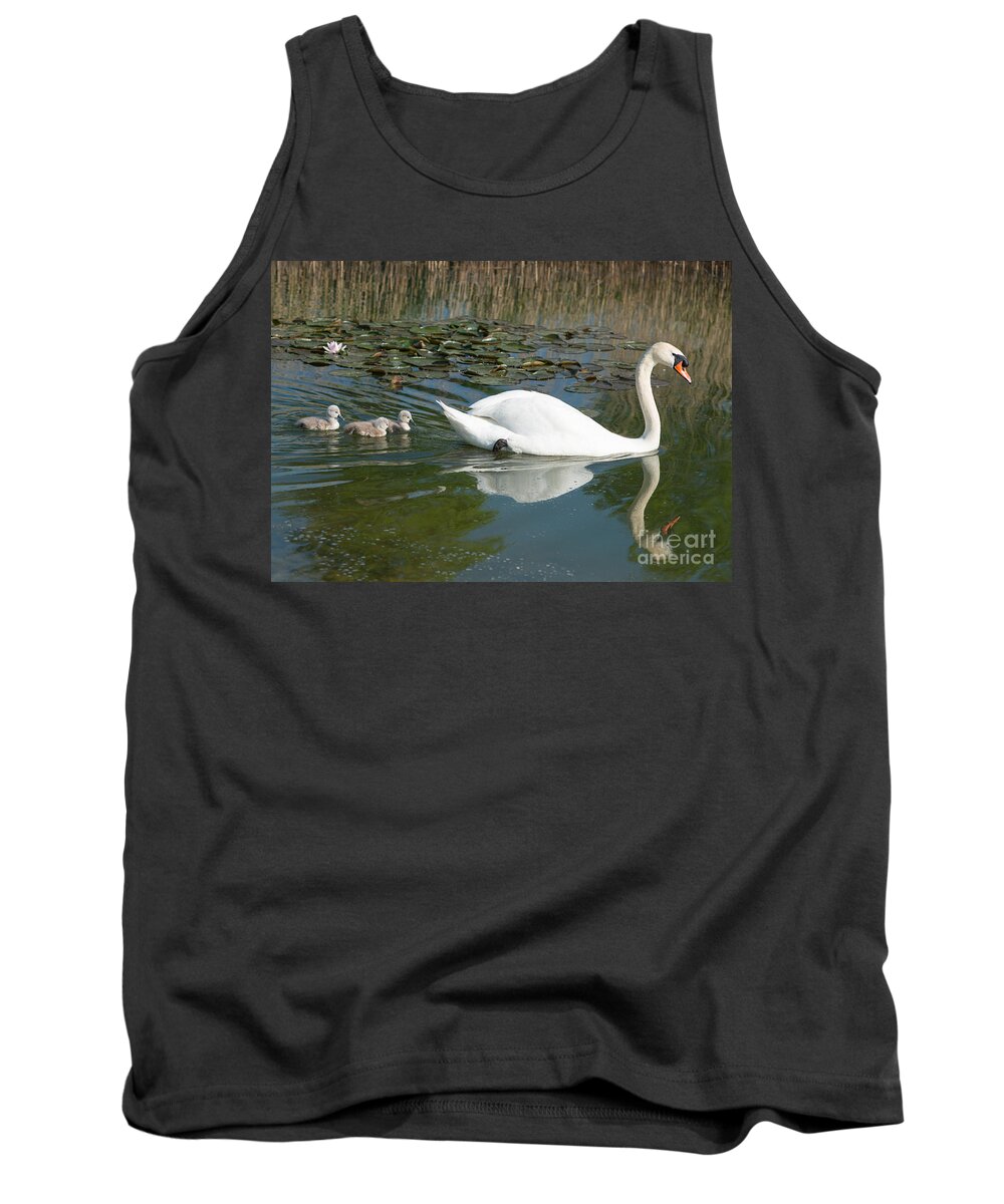 Swan Tank Top featuring the photograph Swan scenic by Andrew Michael
