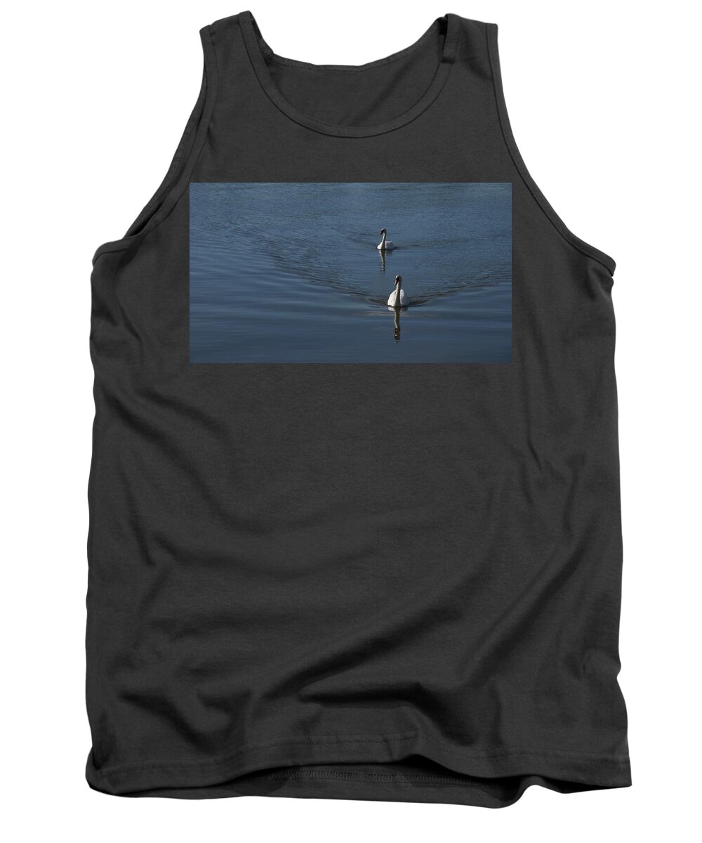 Swans Tank Top featuring the photograph Swans On Deep Blue by Charles Kraus