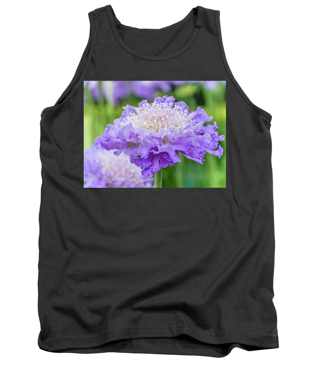 Flower Tank Top featuring the photograph Sweet Petal by Nick Bywater
