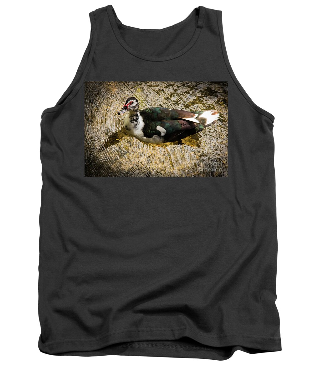  2016 Tank Top featuring the photograph Swimming in Gold Wildlife Art by Kaylyn Franks by Kaylyn Franks