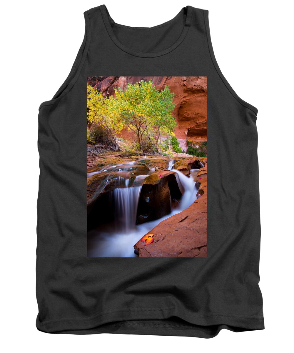 Utah Tank Top featuring the photograph Swiss Cheese Falls by Dustin LeFevre