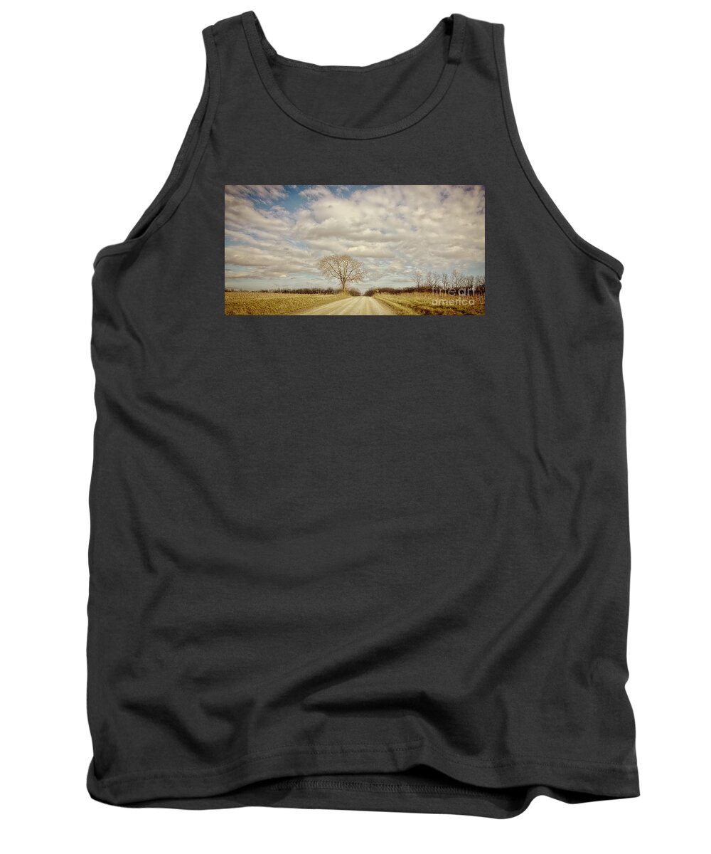 Southern Tank Top featuring the photograph Take Me Home by Diane Enright
