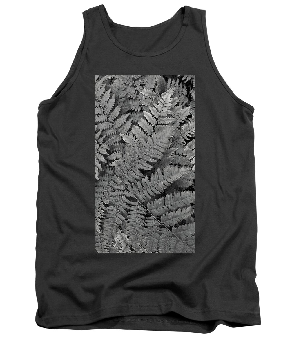 Fern Tank Top featuring the photograph Textures of the Forest by Holly Ross