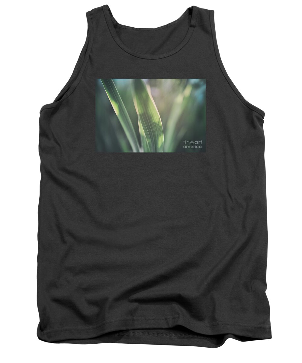 Allotment Tank Top featuring the photograph The Allotment Project - Sweetcorn Leaves by Clayton Bastiani