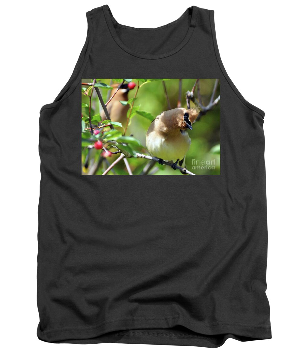 Bohemian Waxwings Tank Top featuring the photograph The Berry Pickers by Deby Dixon